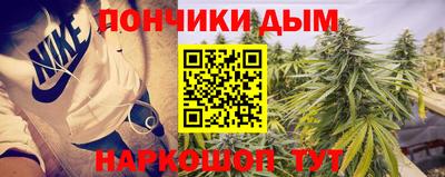 МДПВ Будённовск