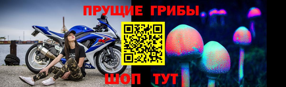 Псилоцибиновые грибы Psilocybe  Галлюциногенные грибы прущие грибы  Вход с VPN  Курчатов 